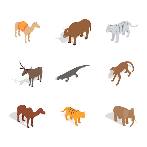 Icono de animales en fondo blanco