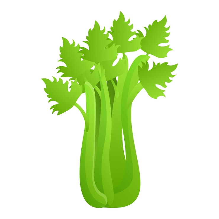 Vector icono de apio fresco caricatura de icono de vector de apio fresco para diseño web aislado sobre fondo blanco
