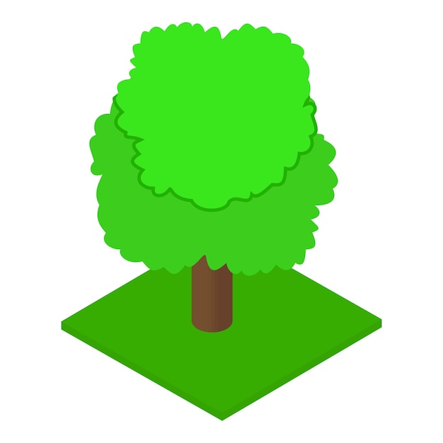 Icono de árbol de fresno ilustración isométrica del icono de vector de árbol de fresno para web