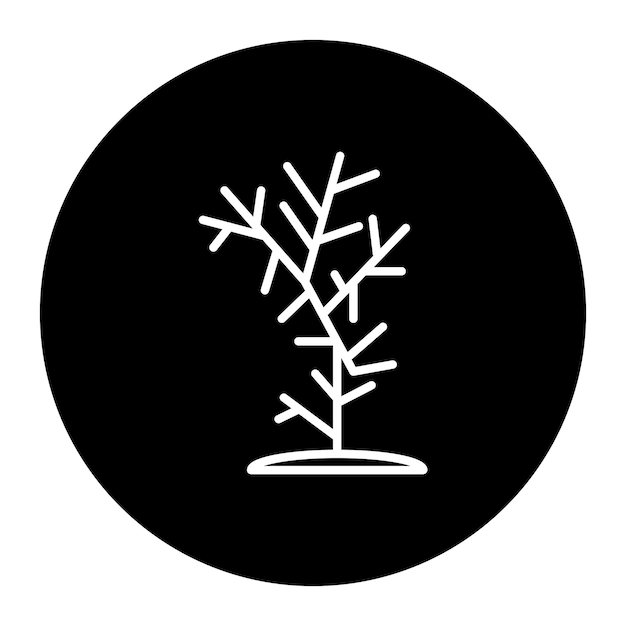 El icono del arrecife de coral