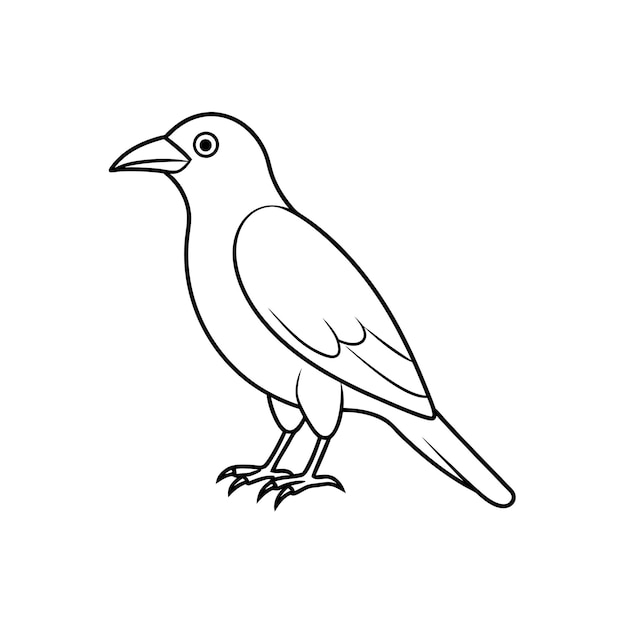 Icono de arte de la línea de pájaros cuervo americano