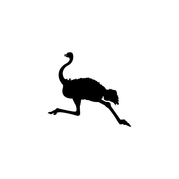 Vector icono de avestruz