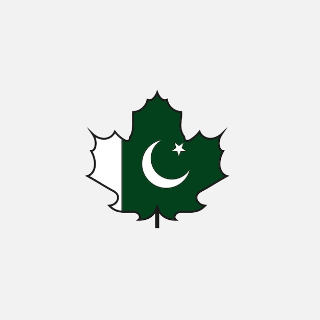 Icono de la bandera de Pakistán