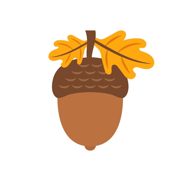 Icono de bellota en estilo plano Ilustración vectorial de nuez de roble en un fondo aislado Concepto de negocio de señales de naturaleza
