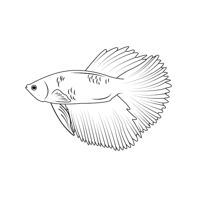 Vector icono de betta fish