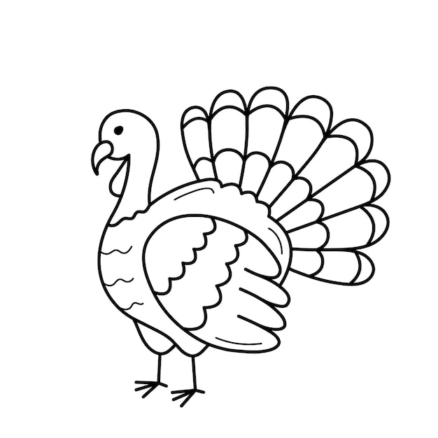 Icono de boceto de pavo de Turquía dibujado a mano de una ilustración vectorial de pájaros domésticos en estilo de línea de garabateo