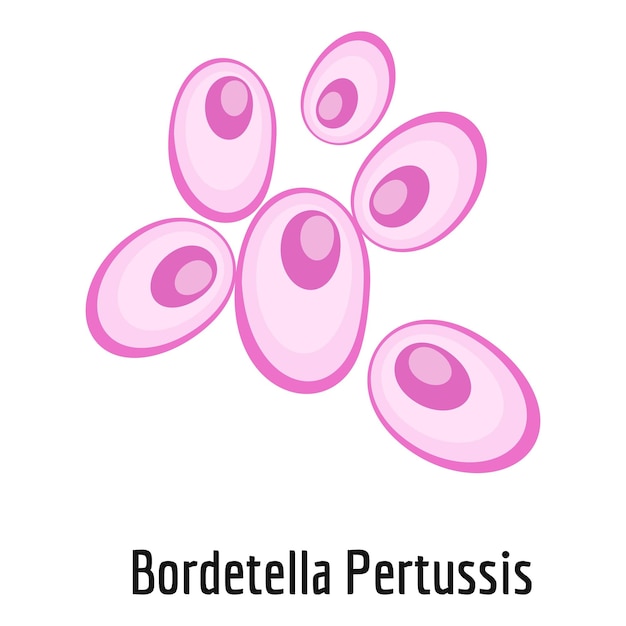 Icono de Bordetella pertussis Ilustración de dibujos animados de icono de vector de bordetella pertussis para web
