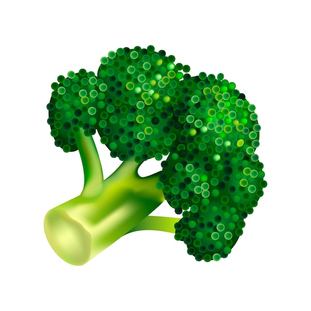 Icono de brócoli de granja Isométrico de icono de vector de brócoli de granja para diseño web aislado sobre fondo blanco