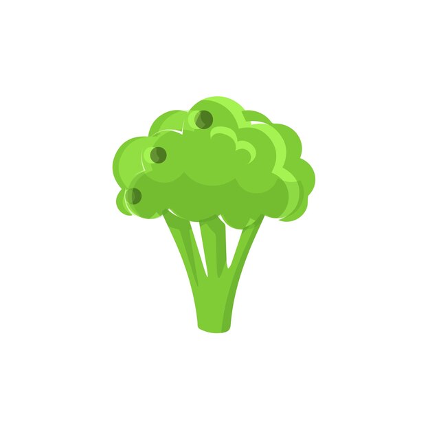 Icono de brócoli vector de brócoli vegetales frescos de la granja alimentos saludables brócoli colorido icono realista