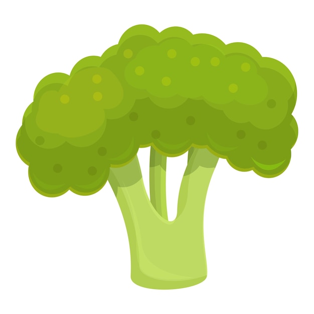 Icono de brócoli vegano Icono vectorial de brócolo vegano para el diseño web aislado sobre fondo blanco