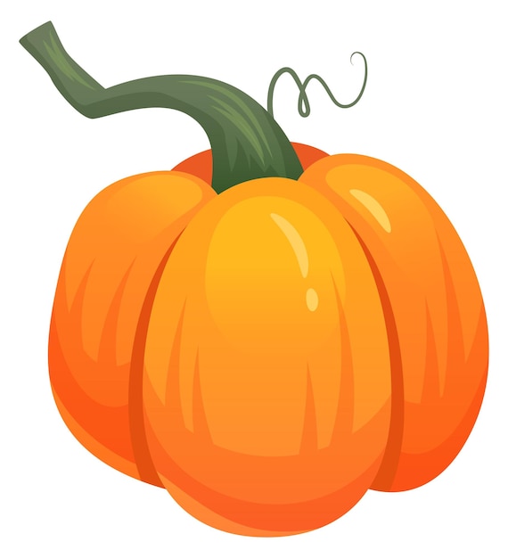 Icono de calabaza de dibujos animados Cultivo orgánico de calabaza de otoño aislado sobre fondo blanco