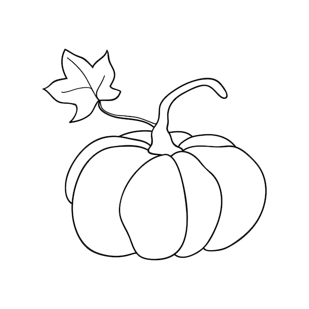 Icono de calabaza fruta redonda con hoja en dibujos de líneas simples ilustración vectorial de calabaza para halloween o insignias de cosecha para embalaje de etiquetas