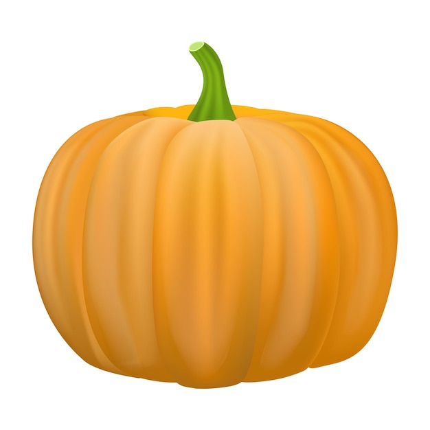 Vector icono de calabaza ilustración realista del icono de vector de calabaza para diseño web aislado sobre fondo blanco