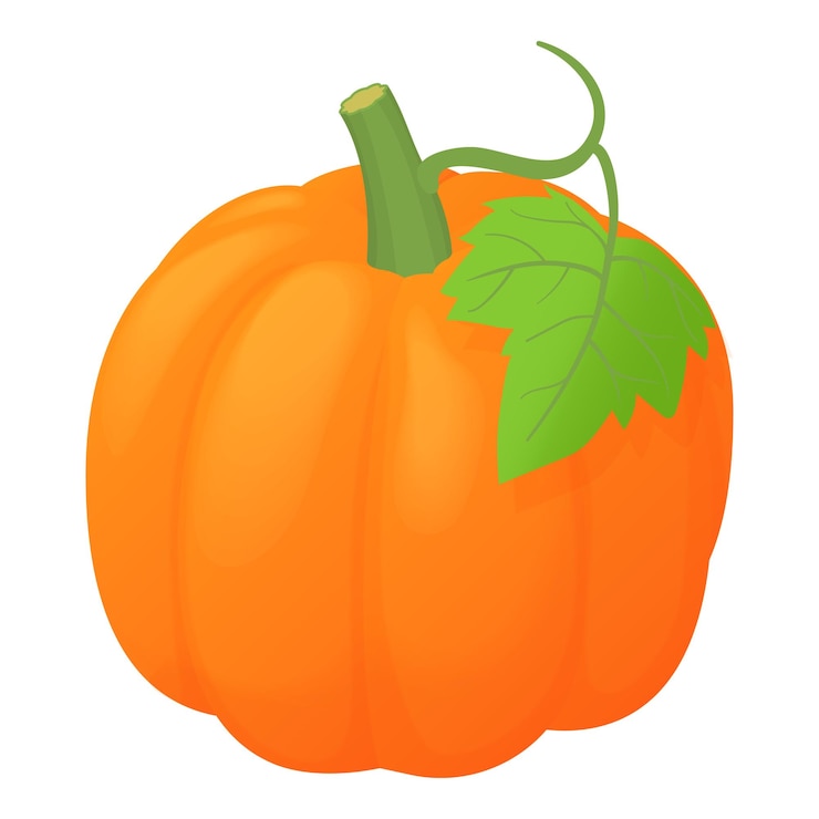 Vector icono de calabaza naranja en estilo de dibujos animados aislado en fondo blanco ilustración vectorial del símbolo de verduras
