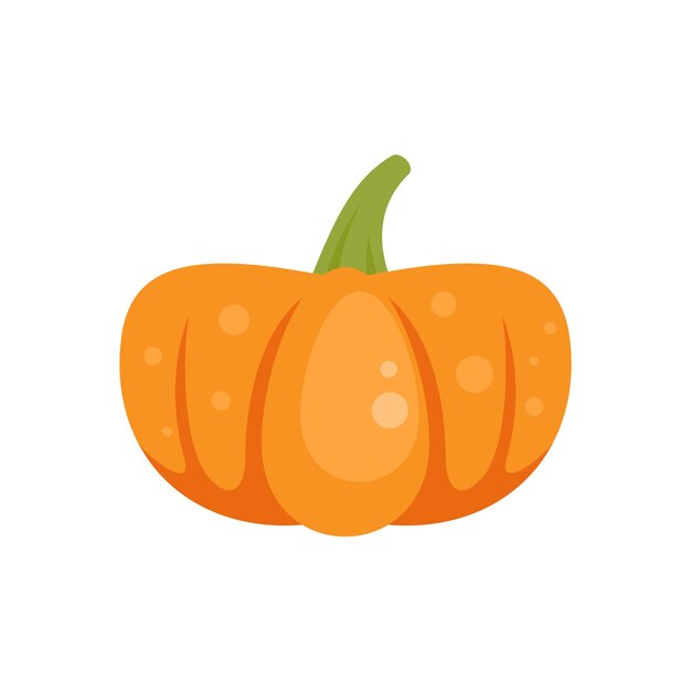 Icono de calabaza tradicional Ilustración plana del icono de vector de calabaza tradicional aislado sobre fondo blanco