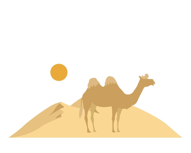 Vector icono de camello en el desierto ilustración plana de camello en el desierto icono vectorial para la web