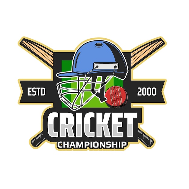 Vector icono de campeonato de cricket con bates y casco