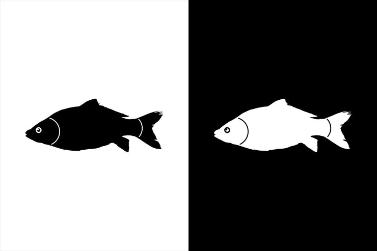 Icono de la carpa silueta negra y blanca Logotipo de la pesca silueta de pez sobre fondo blanco