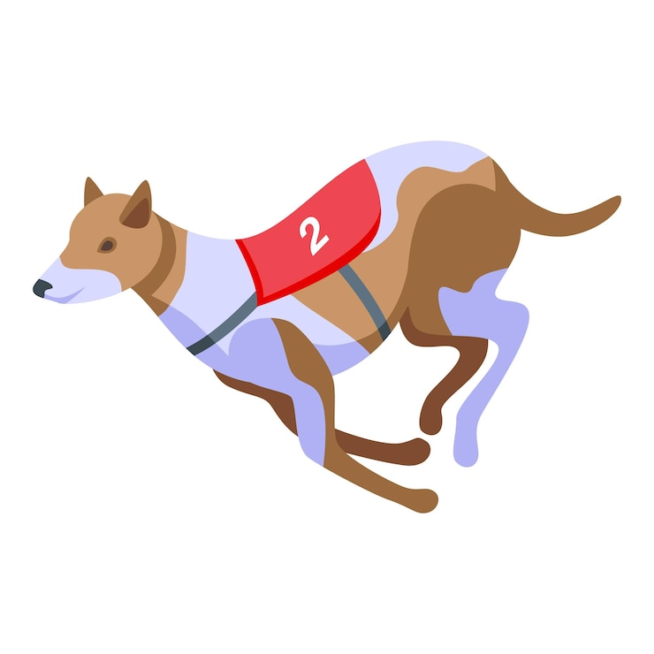 Vector icono de carreras de galgos vector isométrico animal mascota canino doméstico