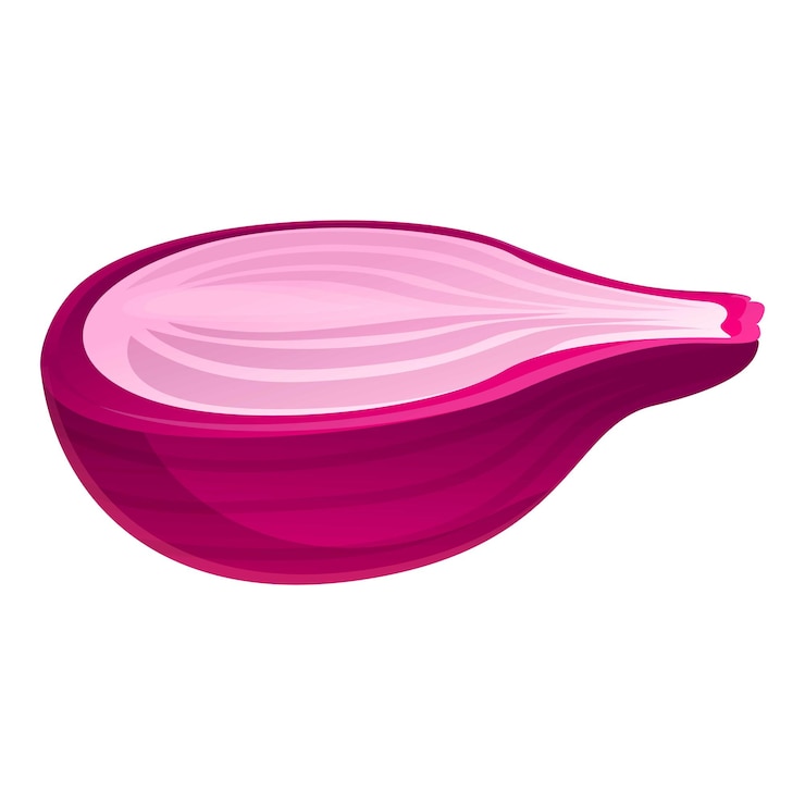 Vector icono de cebolla mitad violeta caricatura de icono de vector de cebolla mitad violeta para diseño web aislado sobre fondo blanco
