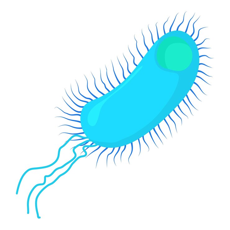 Vector icono de centenario de bacterias largas ilustración de dibujos animados de icono vectorial de centenariado de bacterias largos para la web