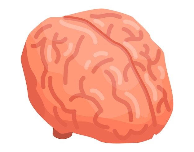 Vector icono de cerebro humano isométrico del icono de vector de cerebro humano para diseño web aislado sobre fondo blanco