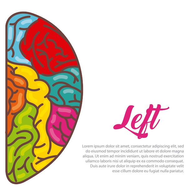 icono del cerebro humano