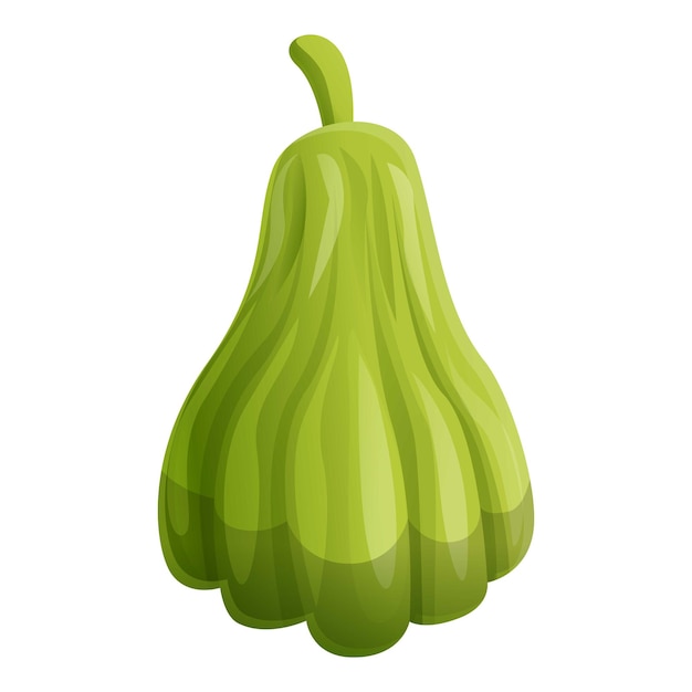 Icono de chayote crudo Caricatura de icono de vector de chayote crudo para diseño web aislado sobre fondo blanco