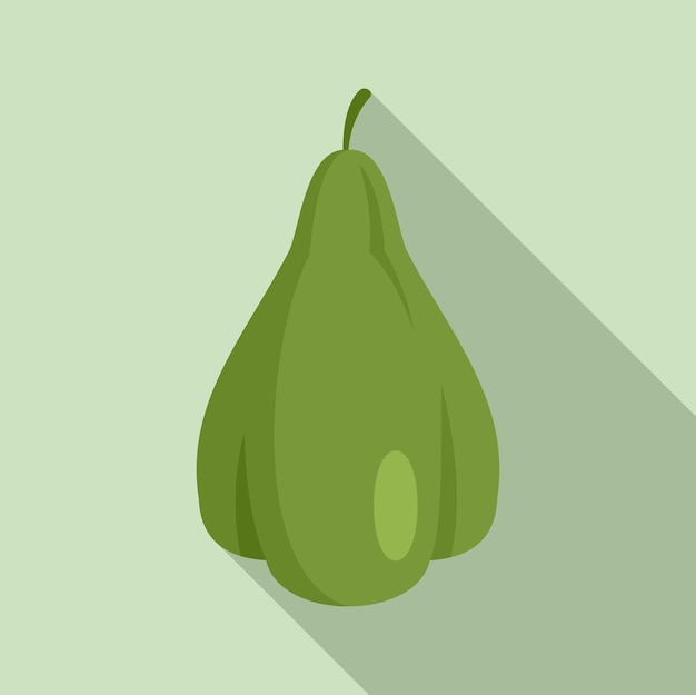 Icono de chayote mexicano Ilustración plana del icono de vector de chayote mexicano para diseño web