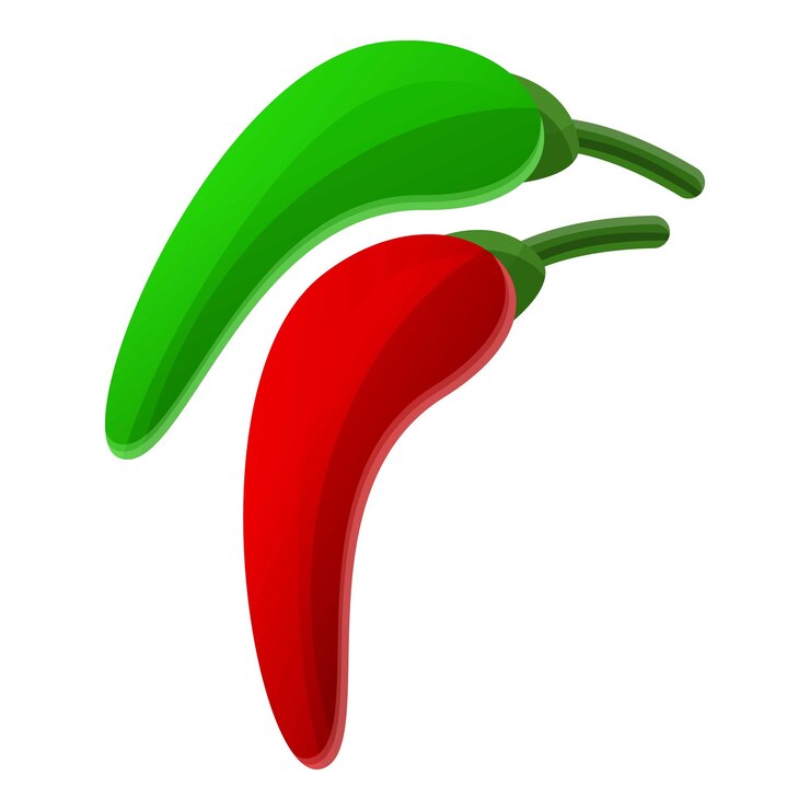 Vector icono de chile verde rojo icono vectorial de chile rojo verde para el diseño web aislado sobre fondo blanco