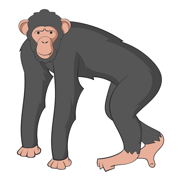 Icono de chimpancé Ilustración de dibujos animados de icono de vector de chimpancé para web