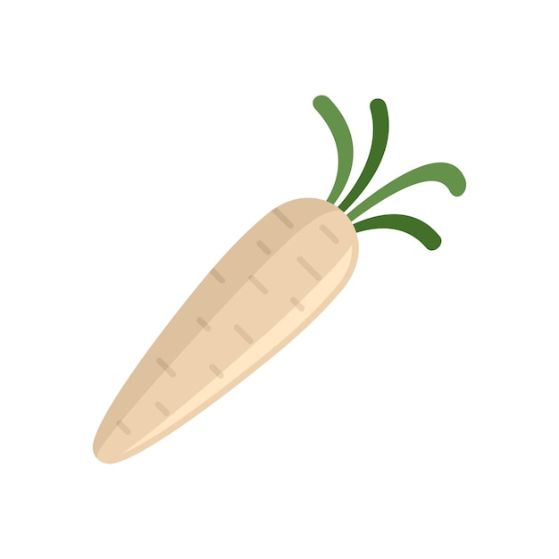 Icono de chirivía botánica Ilustración plana del icono de vector de chirivía botánica aislado sobre fondo blanco