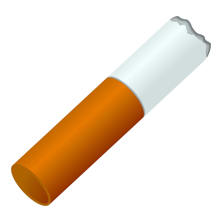 Vector icono de cigarro quemado caricatura de icono de vector de cigarro quemado para diseño web aislado sobre fondo blanco