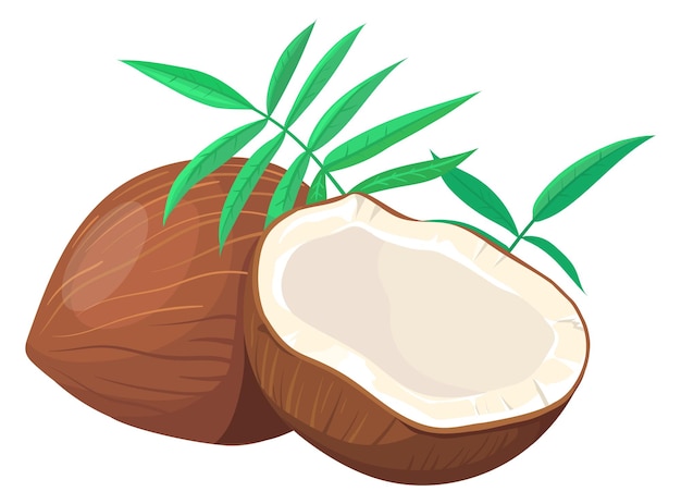 Icono de coco Símbolo de playa exótica de dibujos animados Fruta de palma