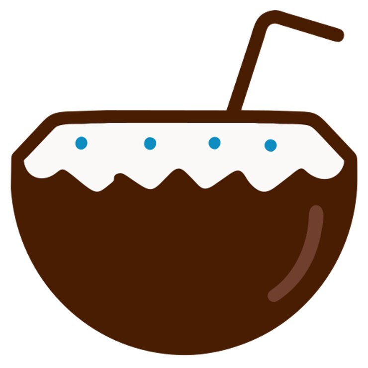 Vector el icono del coco