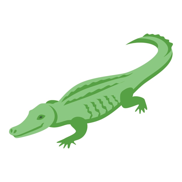 Icono de cocodrilo carnívoro Isométrico de icono de vector de cocodrilo carnívoro para diseño web aislado sobre fondo blanco