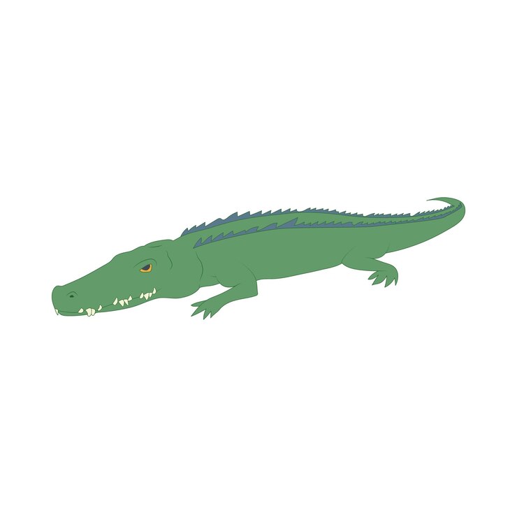 Vector icono de cocodrilo en estilo de dibujos animados aislado sobre fondo blanco símbolo de animales