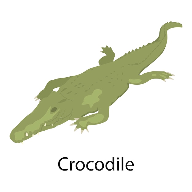 Icono de cocodrilo Isométrico de icono de vector de cocodrilo para diseño web aislado sobre fondo blanco
