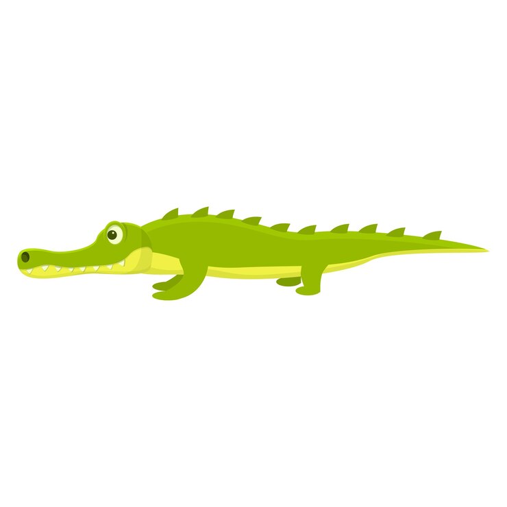 Vector icono de cocodrilo del zoológico icono vectorial del cocodrillo del zoológico para el diseño web aislado sobre fondo blanco