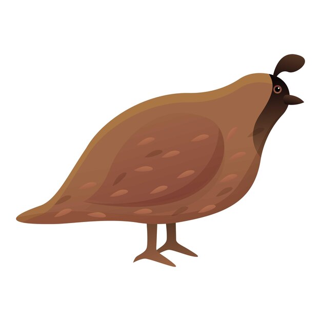 Icono de codorniz de granja Icono vectorial de codornizo de granja para diseño web aislado en fondo blanco