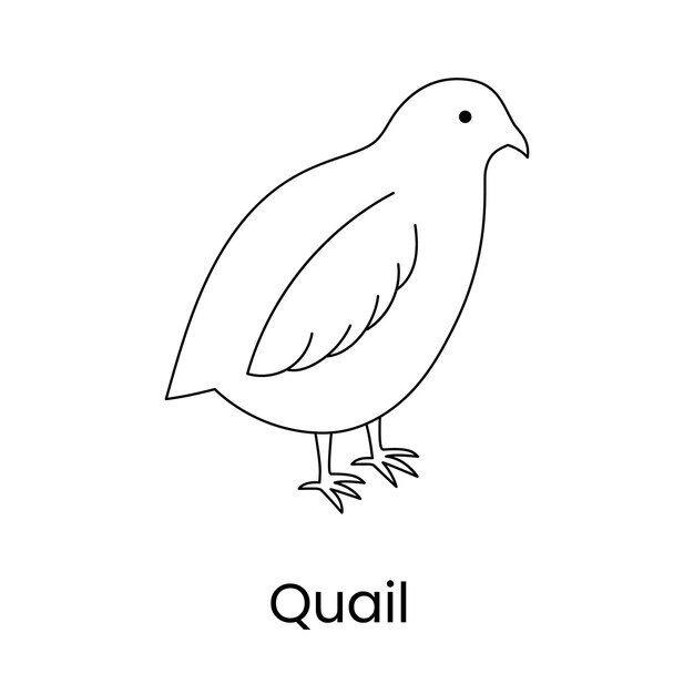 Icono de codorniz lineal en ilustración vectorial de un pájaro