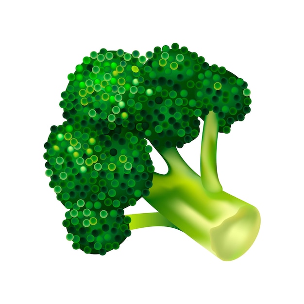 Icono de col de brócoli Isométrico de icono de vector de col de brócoli para diseño web aislado sobre fondo blanco