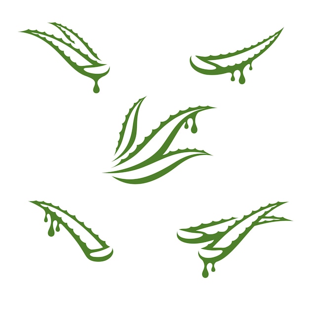 Icono de colección de conjunto de aloe vera vector de aloe vera