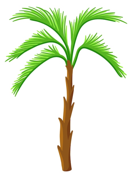 Icono de color del árbol de la jungla Palma de bosque exótico