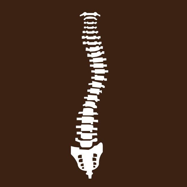 Vector el icono de la columna vertebral