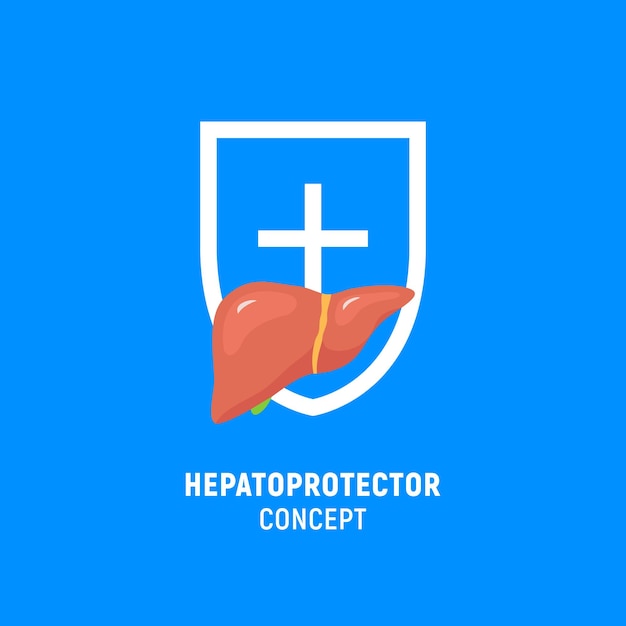 Icono de concepto de hepatoprotector escudo de icono plano de hígado sano icono de guardia de cuidado de hígado