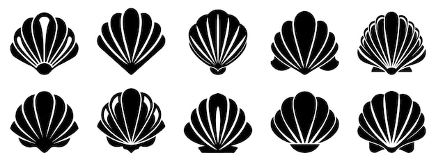 Ícono de concha de mar Conjunto de íconos de conchas de perlas Íconos vectoriales de conchas