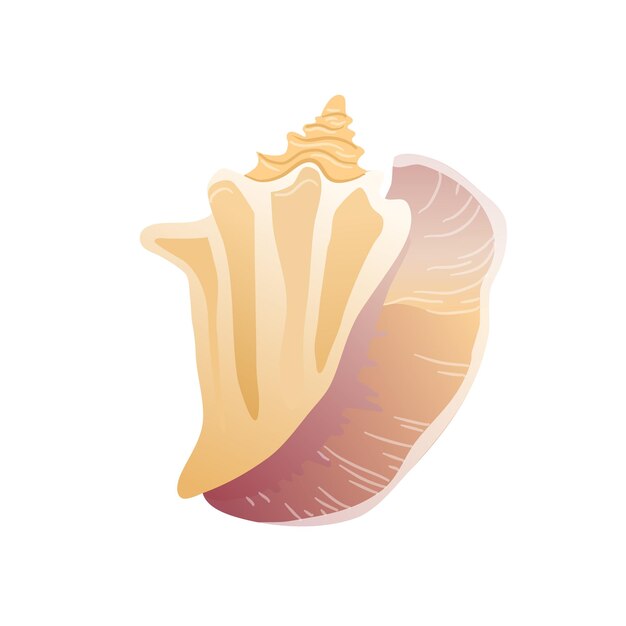 Icono de concha vectorial Mariscos coloridos aislados sobre fondo blanco