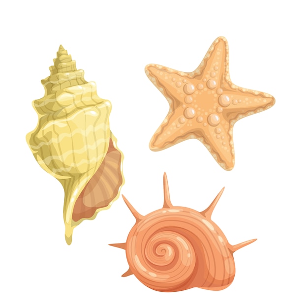 Vector icono de conchas marinas