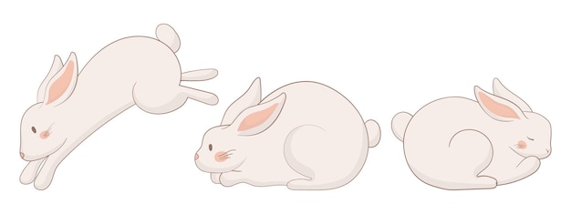 Icono de conejo descansando, saltando y sentado Un conejo se acuesta, otro salta y el tercero se sienta erguido mirando hacia arriba Una ilustración de animales encantadora y minimalista